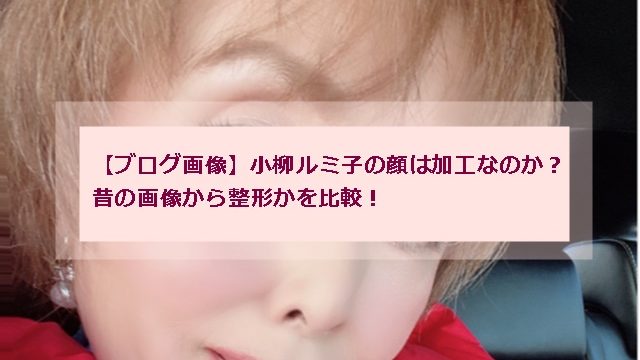 ブログ画像 小柳ルミ子の顔が変わったのは加工なのか 昔の画像と整形かを比較