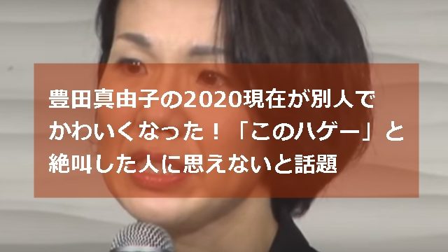 豊田真由子の2020現在が別人でかわいくなった このハゲー と絶叫した人に思えないと話題